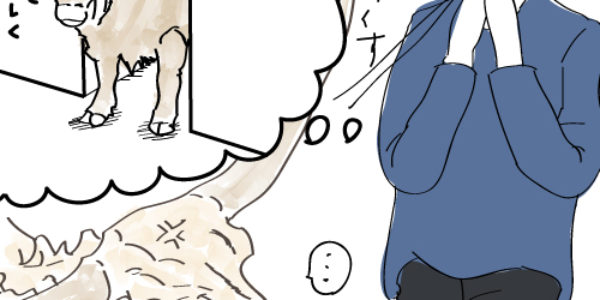 早坂さんとバイソン